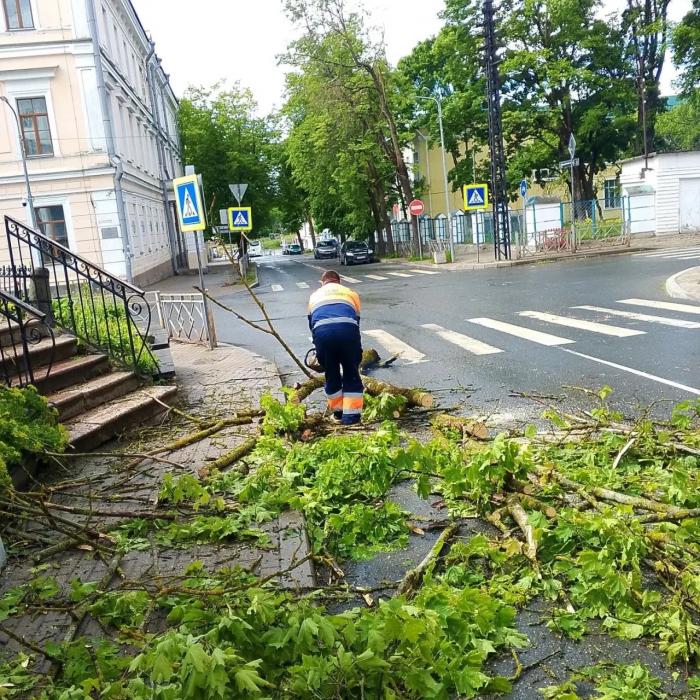 Усиленный ветер с ливнем бушует по Пскову