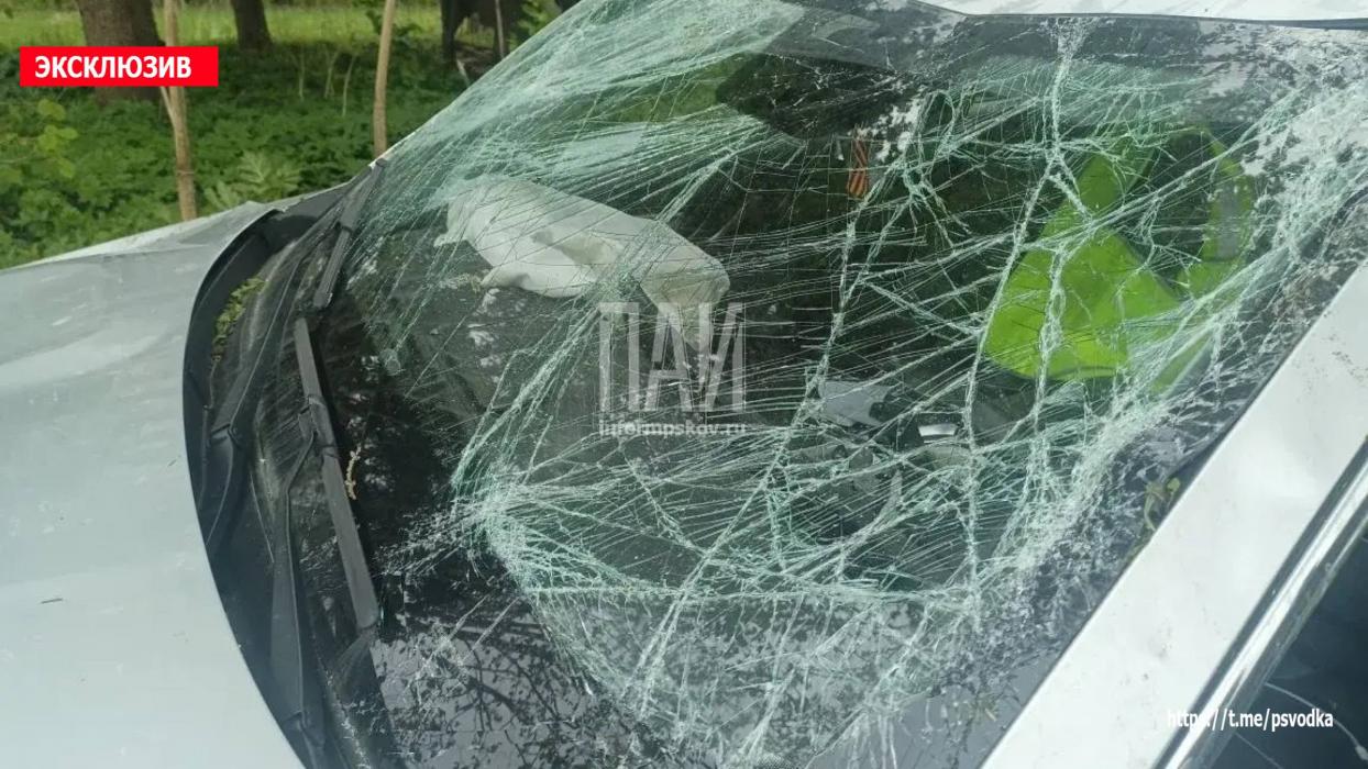 ДТП в Бежаницком районе