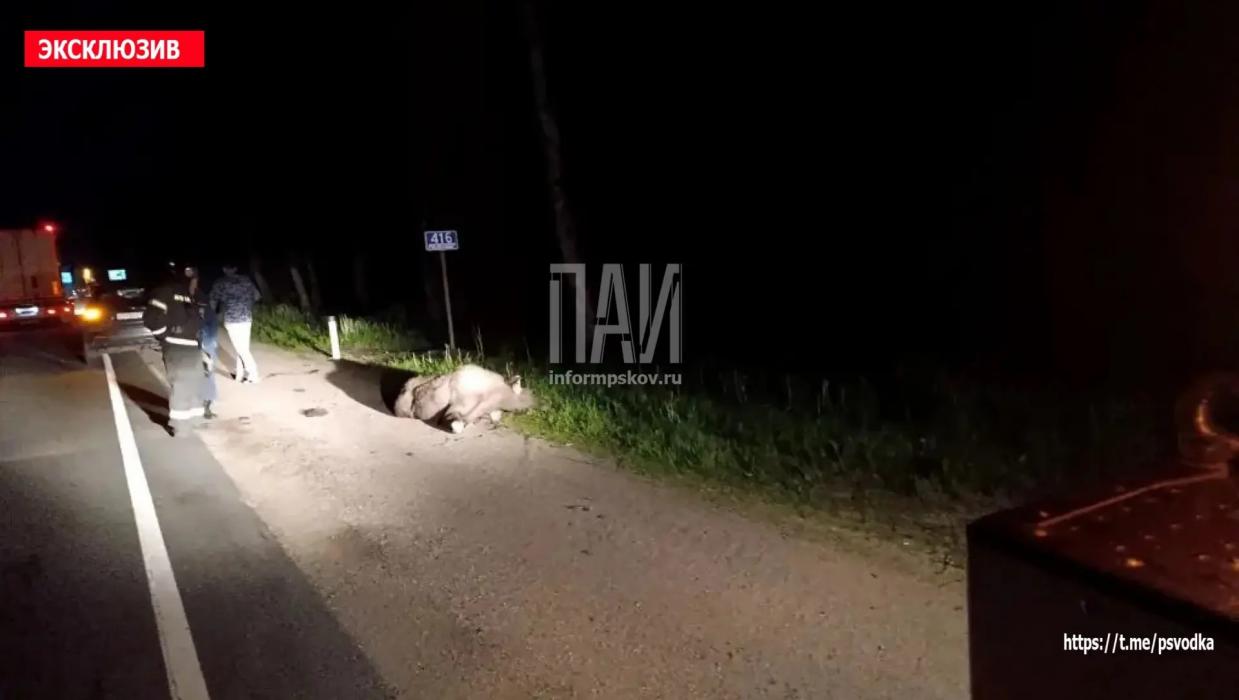 ДТП в Опочецком районе 