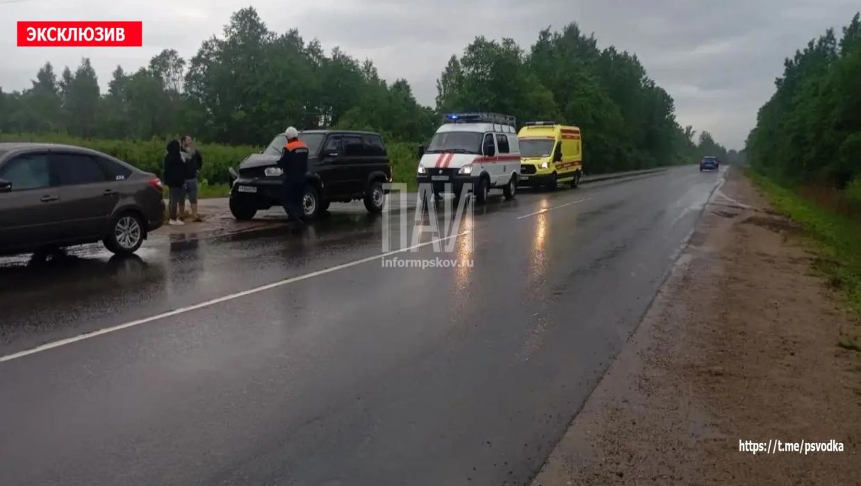 Два человека пострадали в ДТП с «Газелью» в Псковском районе