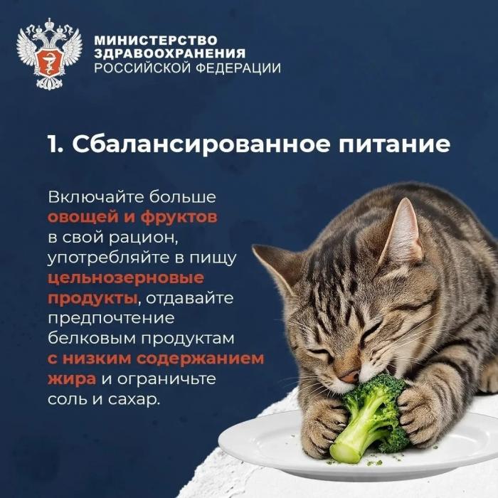  Что нужно для продолжительной и активной жизни