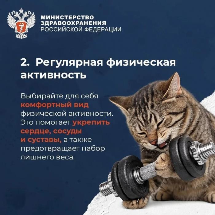  Что нужно для продолжительной и активной жизни