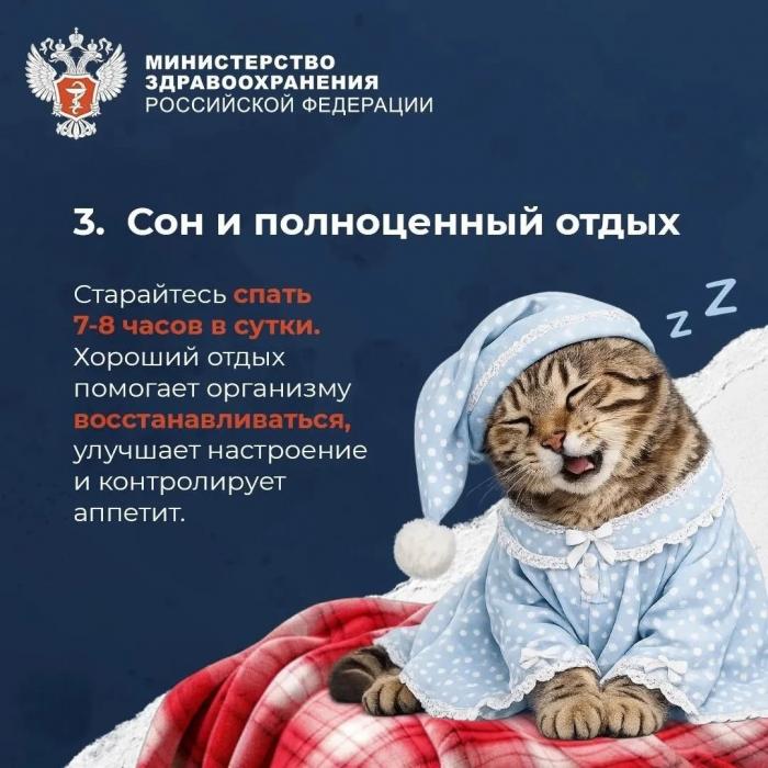  Что нужно для продолжительной и активной жизни