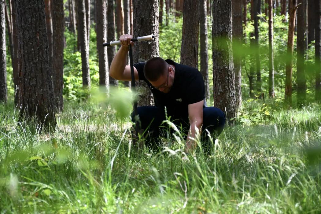Вечно молодой: в Корытовском лесопарке посадили восемь тысяч саженцев
