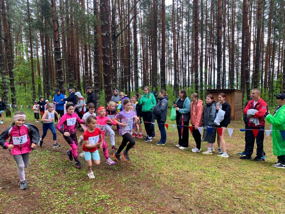 Подведены итоги второго этапа Кубка Псковской области по лыжероллерам и кроссу 