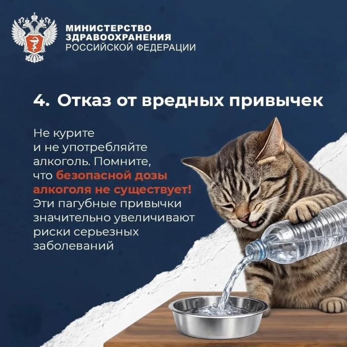  Что нужно для продолжительной и активной жизни