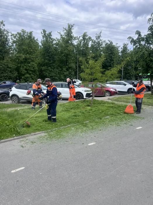 Масштабная уборка проходит на улицах Пскова