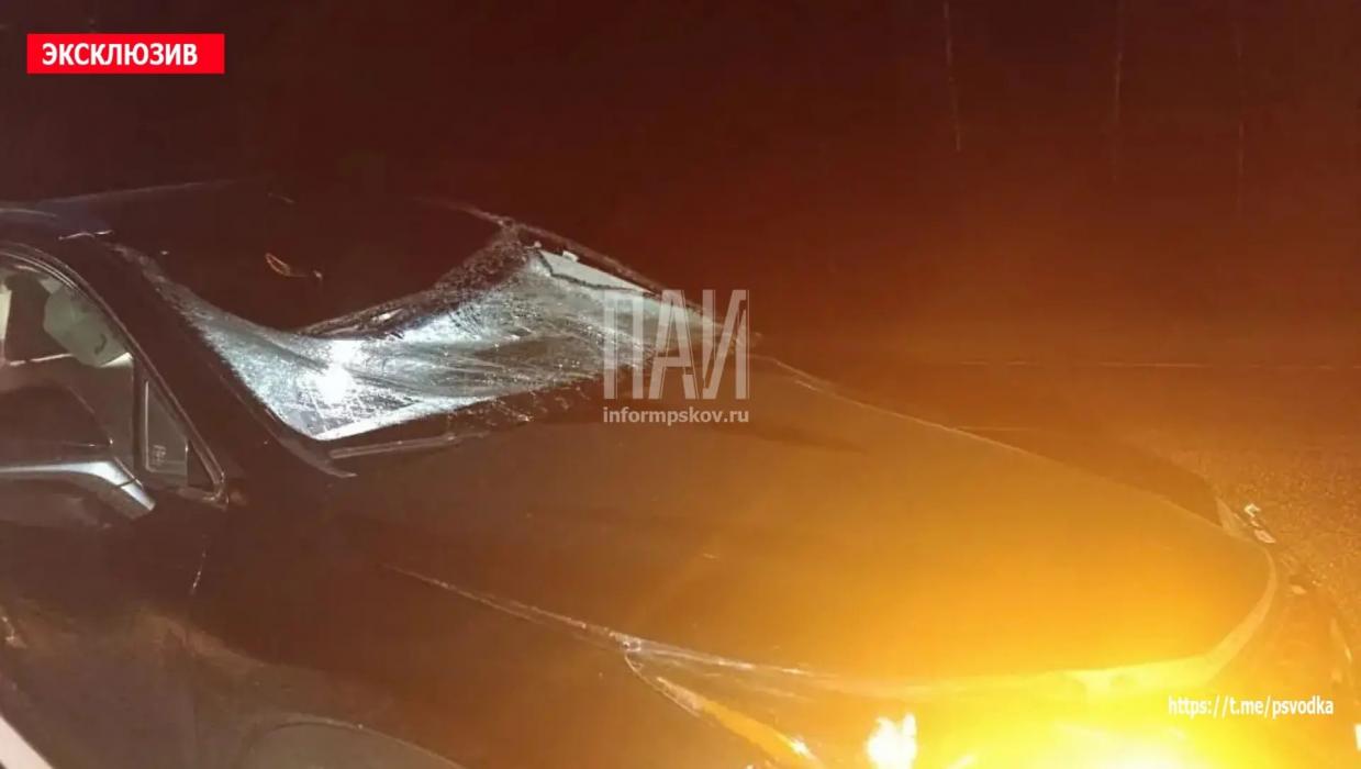 ДТП в Опочецком районе 