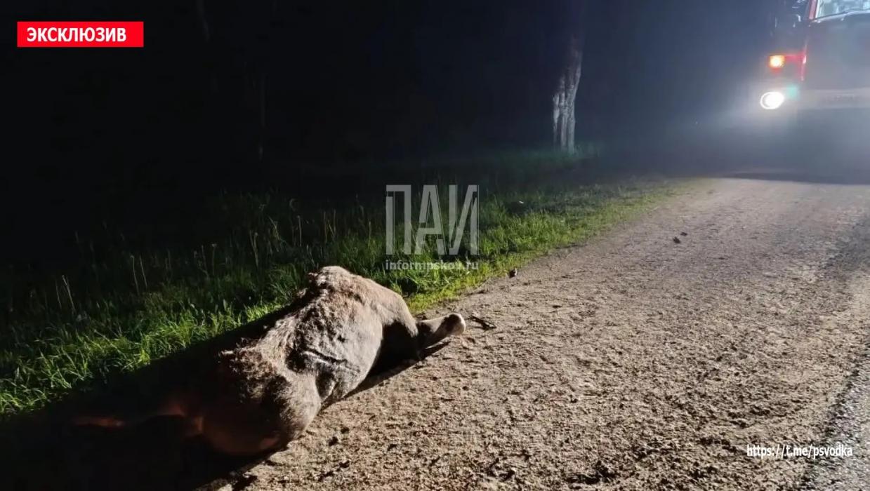 ДТП в Опочецком районе 