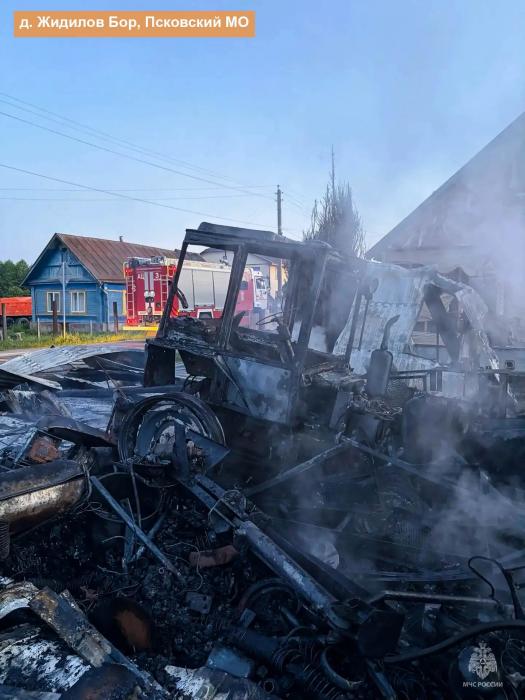 Пожары в Псковском области 
