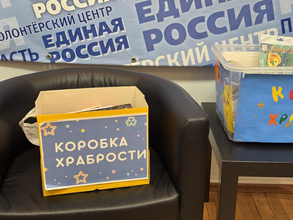 В Пскове активистки «Женского движения Единой России» передали игрушки для акции «Коробка храбрости»