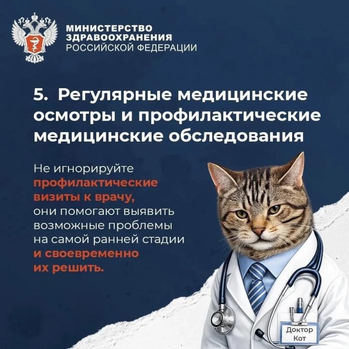  Что нужно для продолжительной и активной жизни