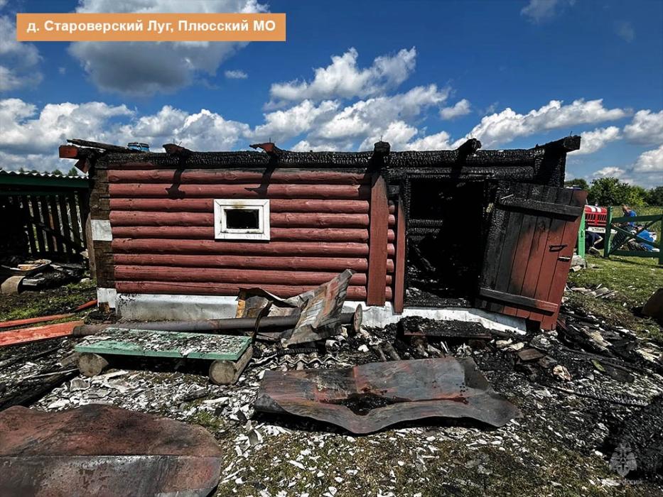 Пожар в Плюсском районе