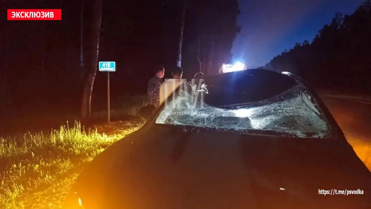 ДТП в Опочецком районе 