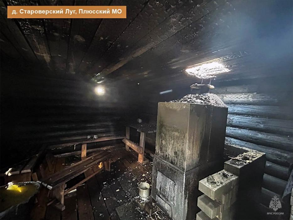 Пожар в Плюсском районе