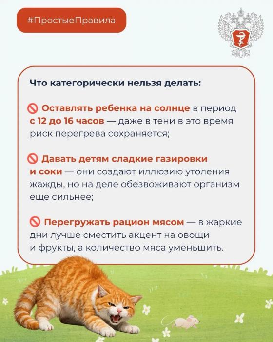 Как защитить ребенка от перегрева в жару