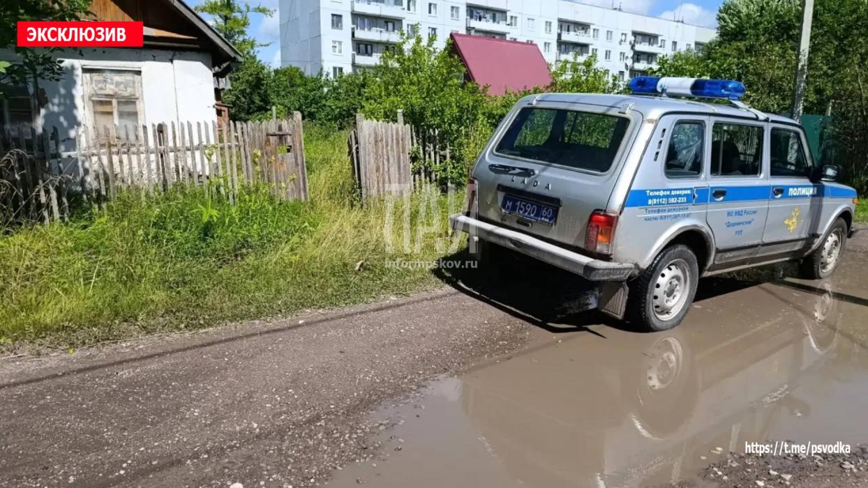 Поножовщина в Дно