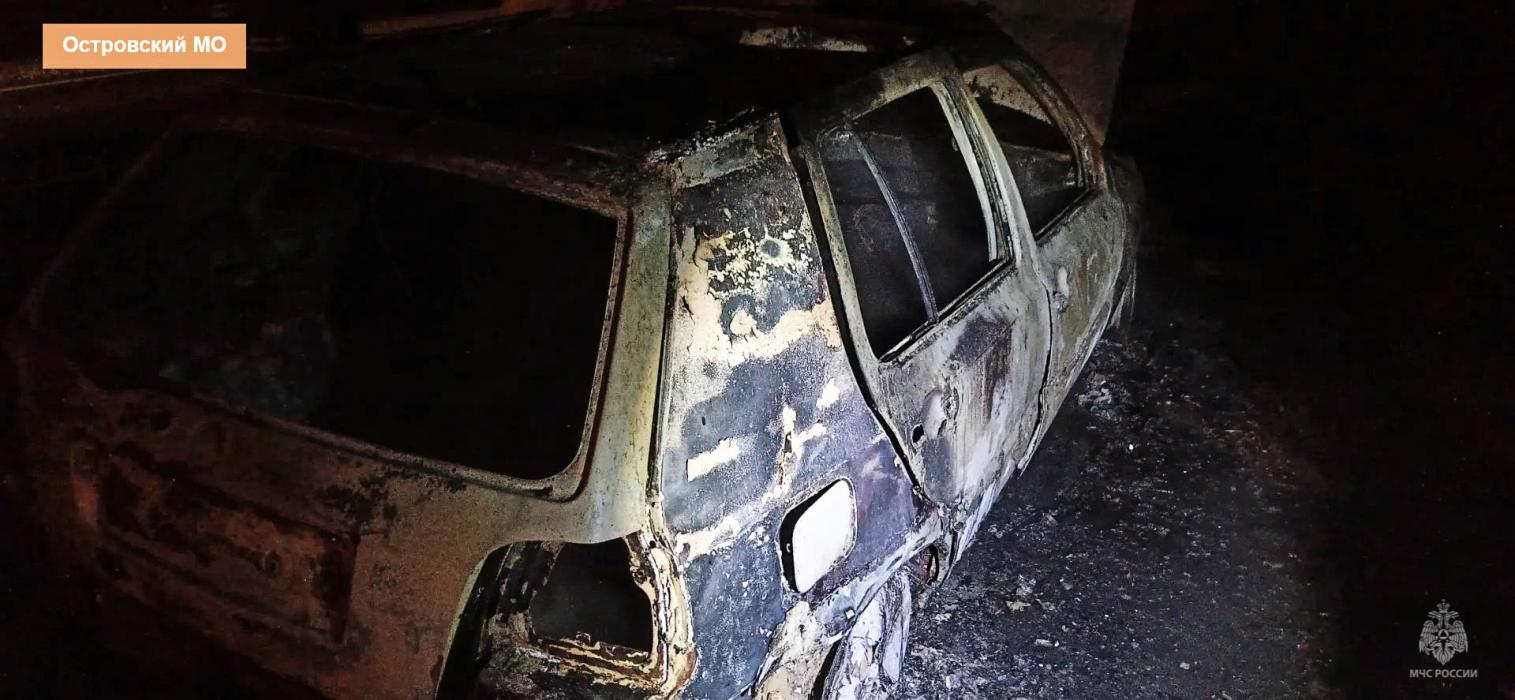 Дом и автомобиль сгорели в Псковской области