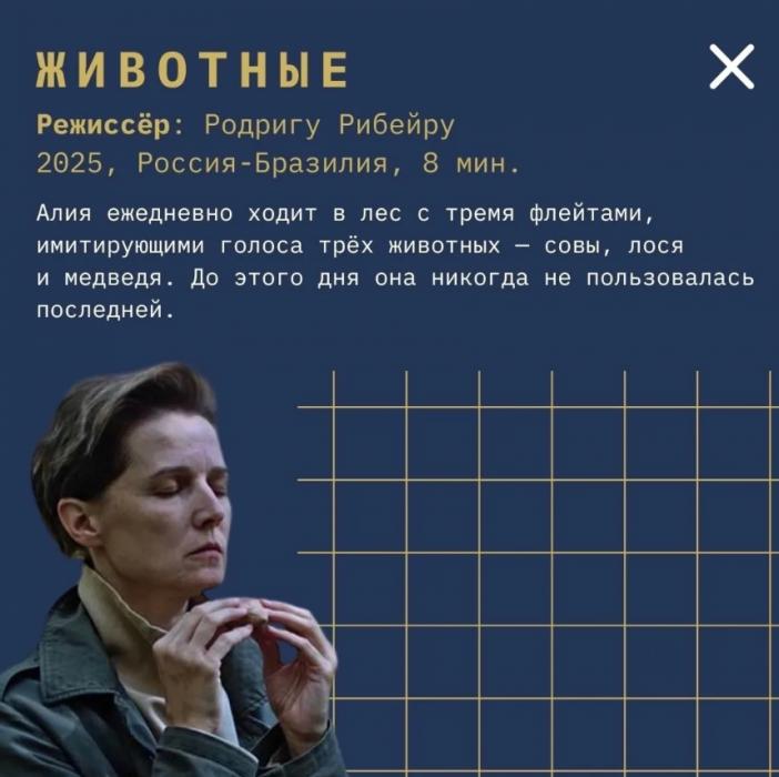 Короткометражные фильмы