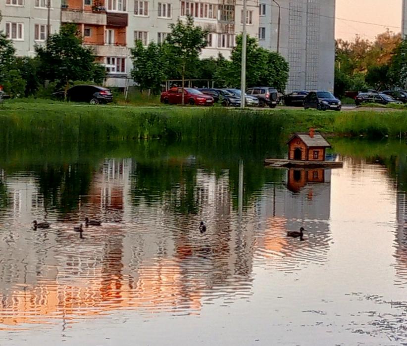 Плавучий домик на пруду 