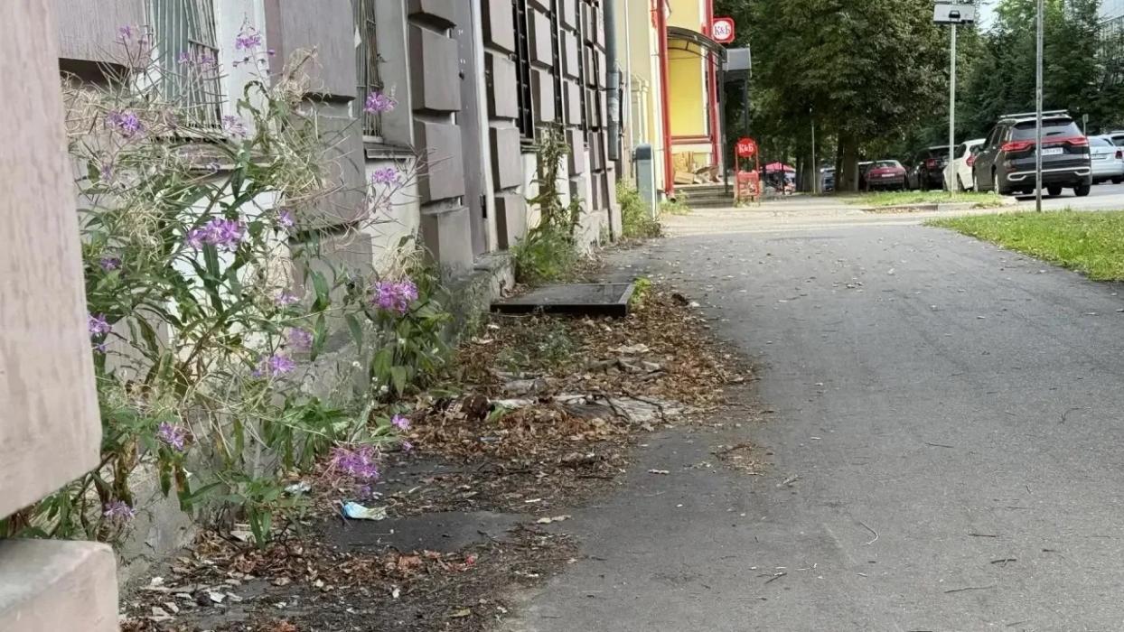 Михаил Ведерников раскритиковал власти Великих Лук за неухоженный вид города