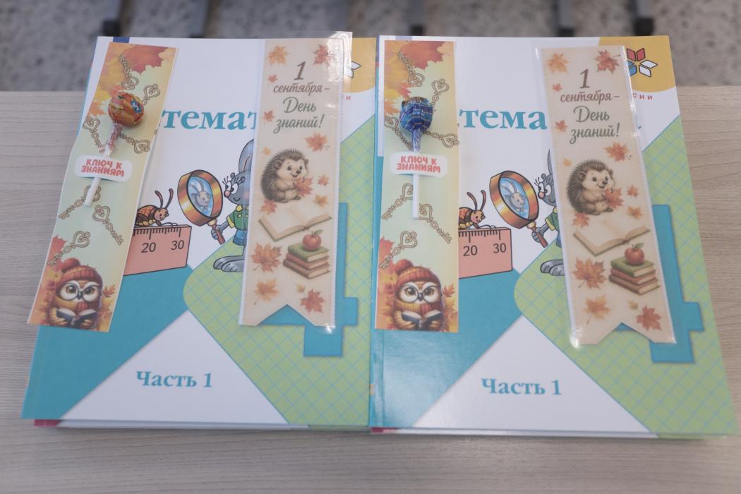 Тямшанская гимназия готова в новому учебному году