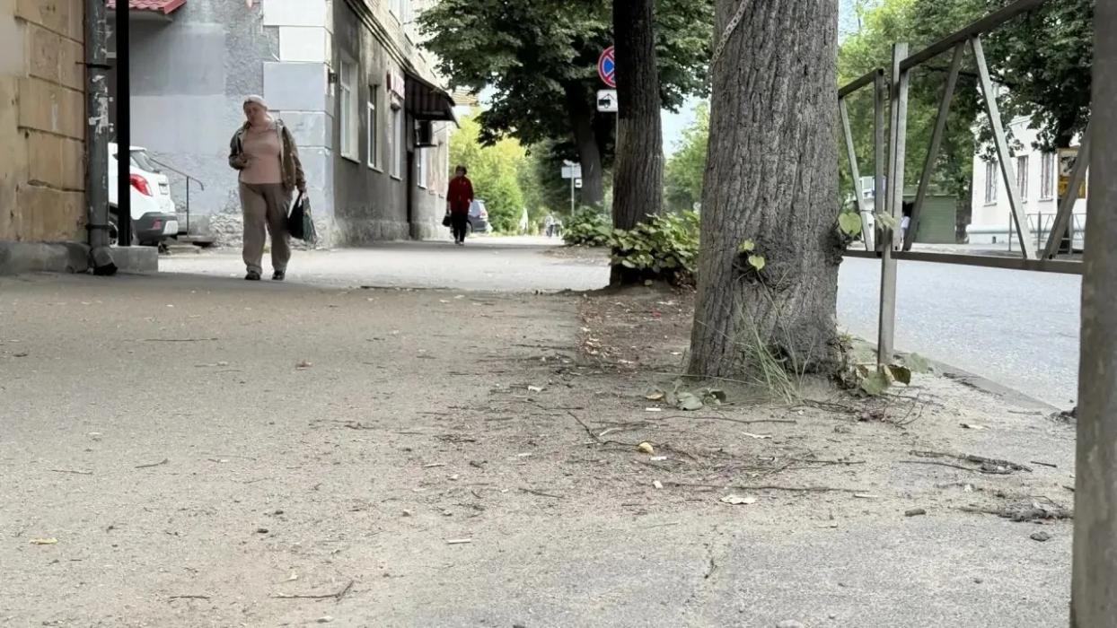 Михаил Ведерников раскритиковал власти Великих Лук за неухоженный вид города