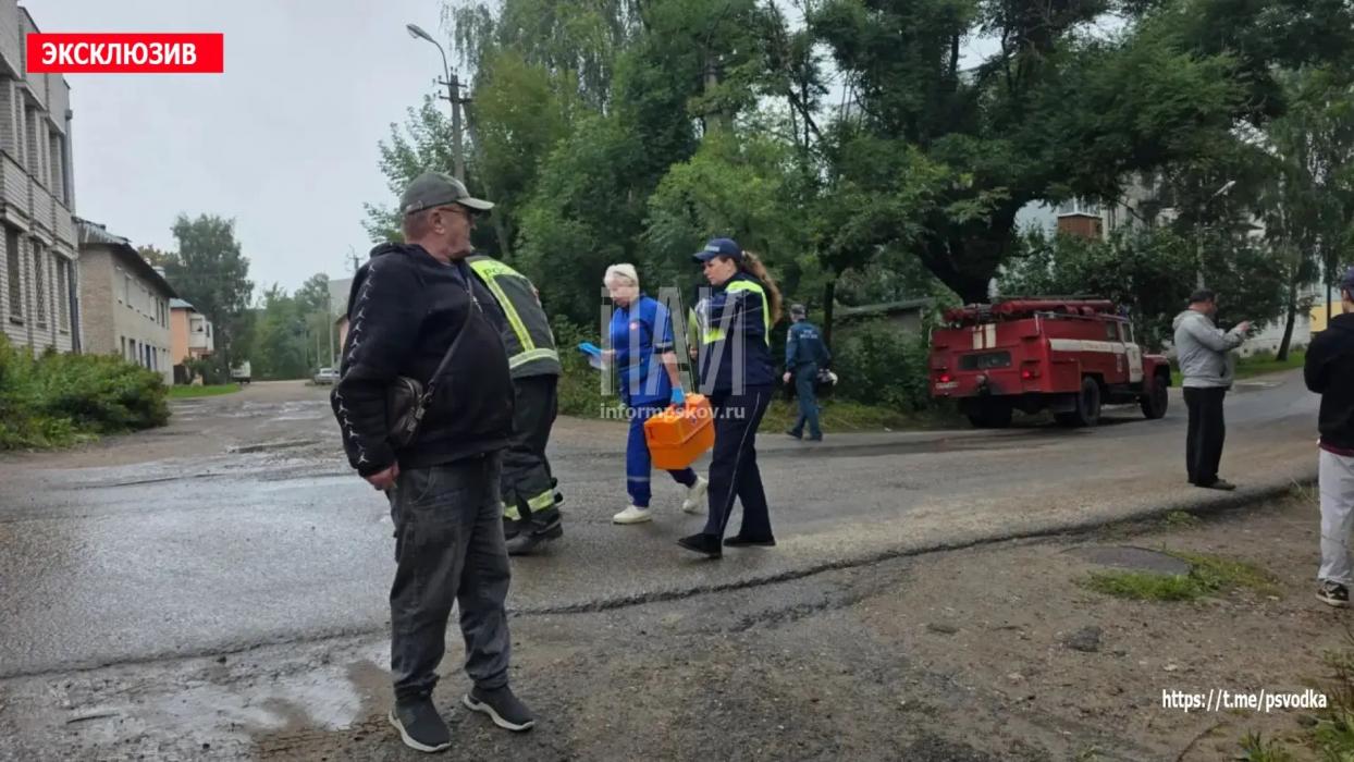 ГАЗель сбила женщину в Невеле