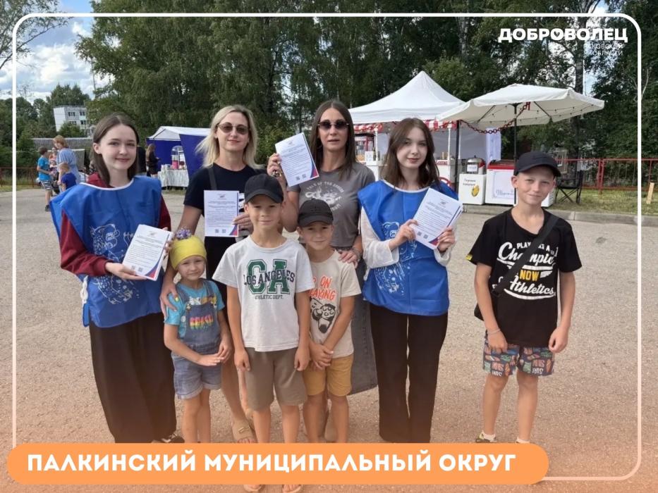  Волонтёры Псковской области помогают благоустраивать города, сохранять память и информировать жителей