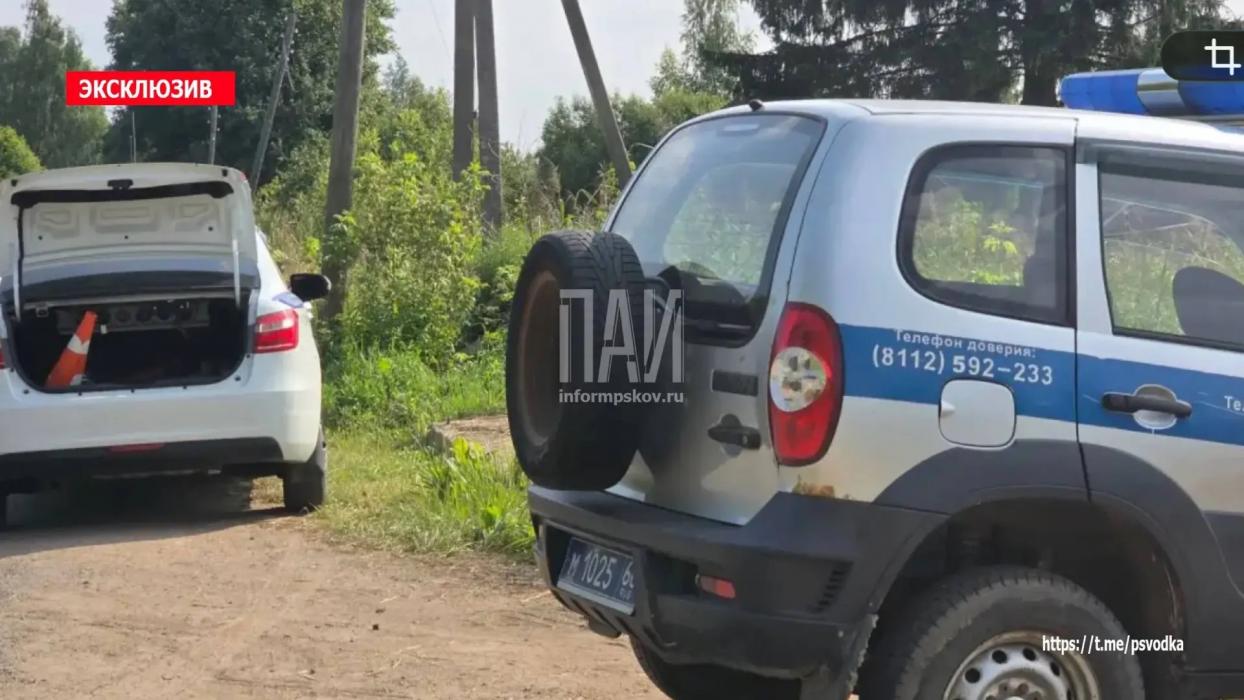 Тело мужчины с признаками насильственной смерти обнаружили в Невеле