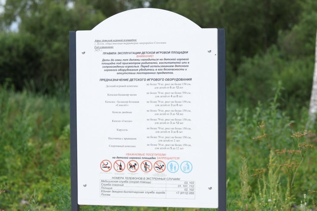Выезд губерантора Псковской области Михаила Ведерникова