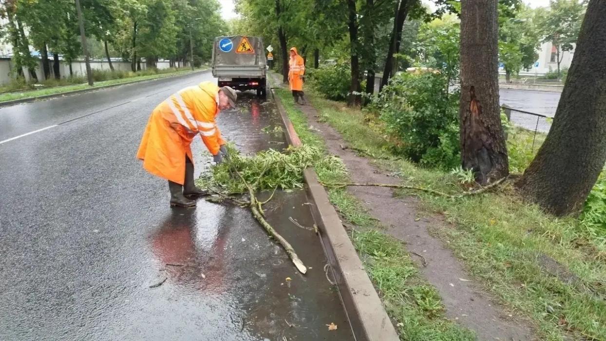 Уборка последствий непогоды 