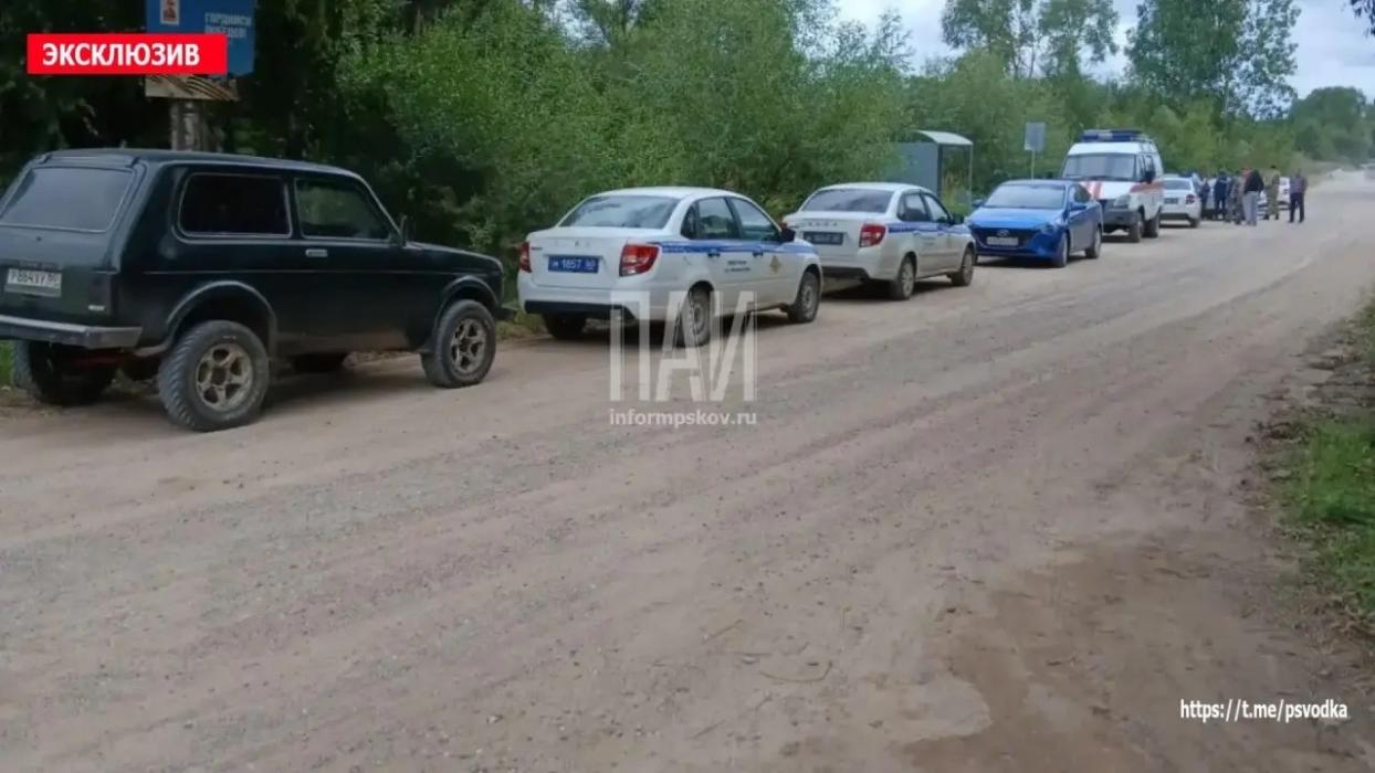 Масштабные поиски пропавшего девятилетнего мальчика завершились в деревне Заболотье Великолукского района