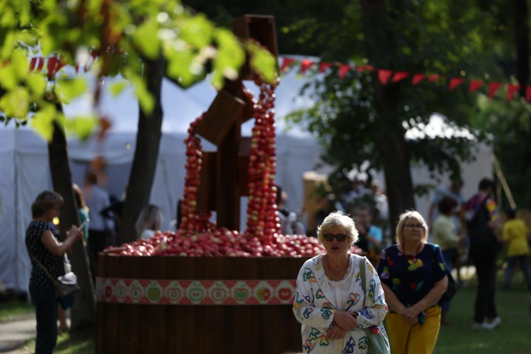 Семейный праздник в Финском парке: первый день фестиваля «Лешуга»