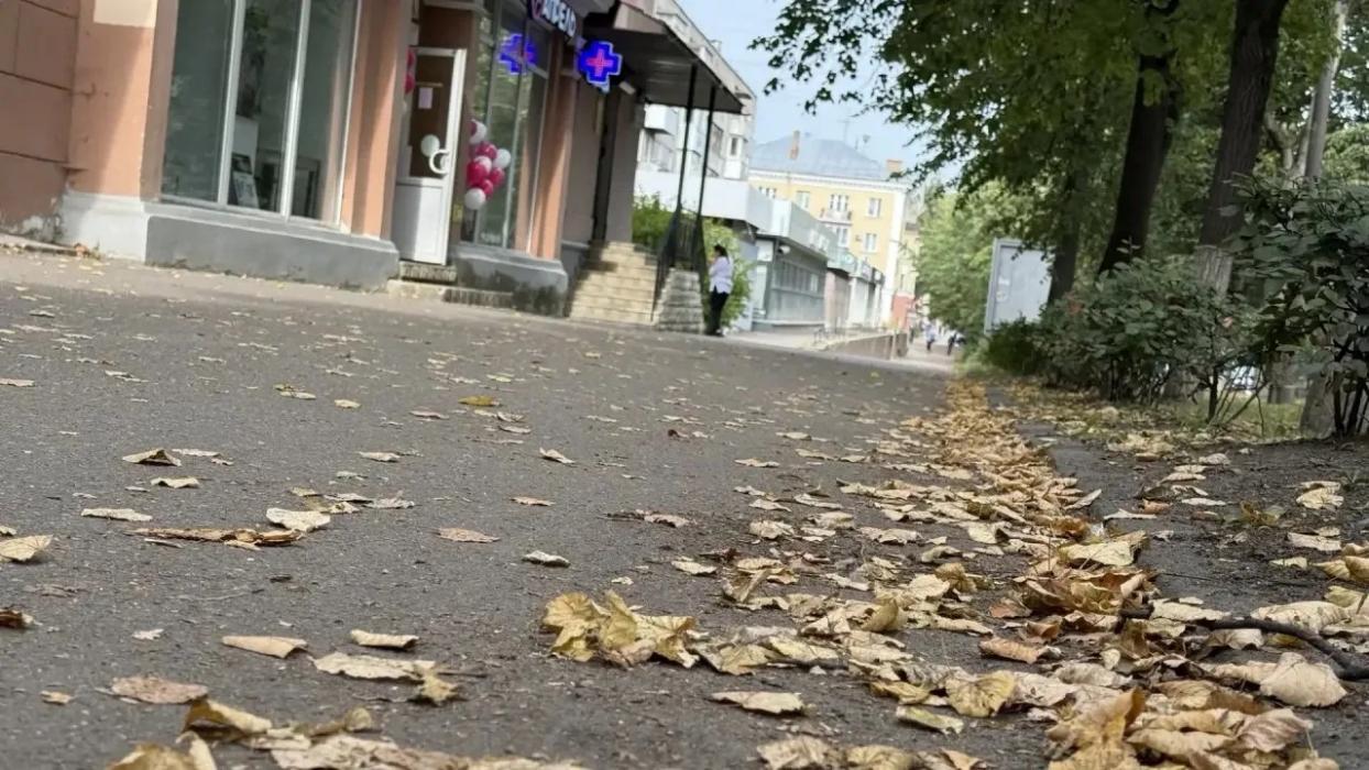 Михаил Ведерников раскритиковал власти Великих Лук за неухоженный вид города