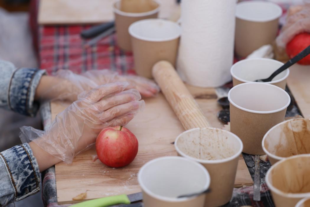 Семейный праздник в Финском парке: первый день фестиваля «Лешуга»