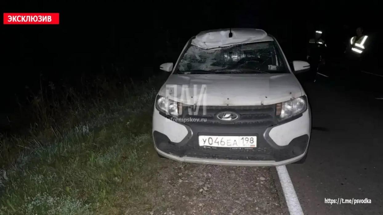 Велосипедист погиб в Порховском районе