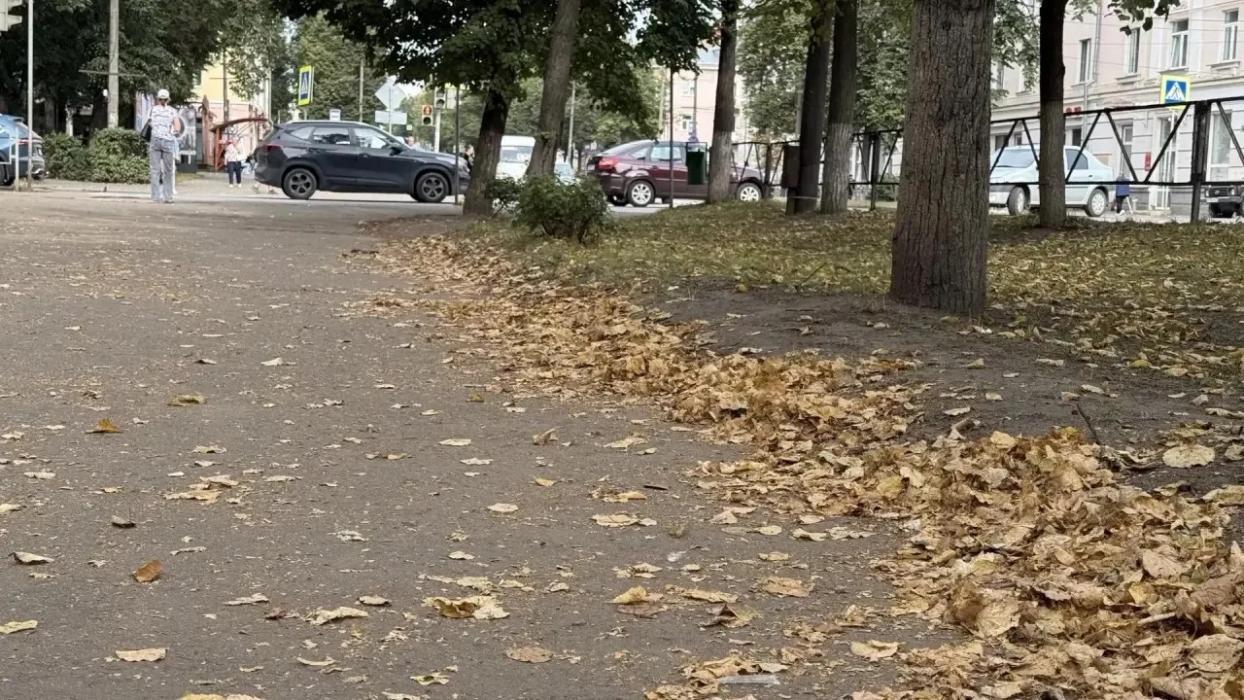 Михаил Ведерников раскритиковал власти Великих Лук за неухоженный вид города