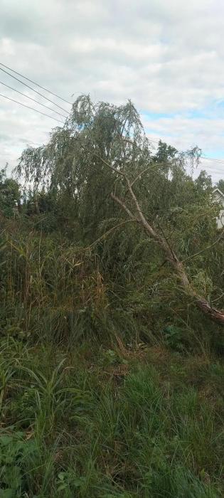 Последствия непогоды в Пыталовском районе