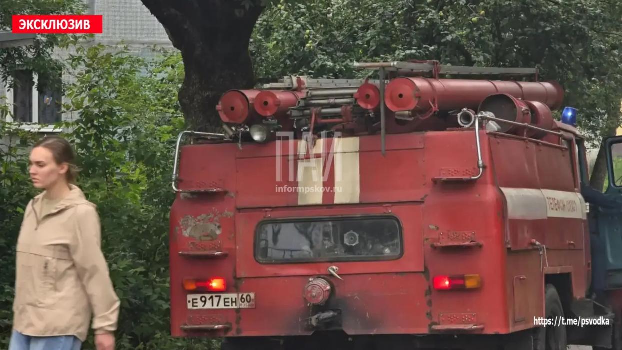 ГАЗель сбила женщину в Невеле