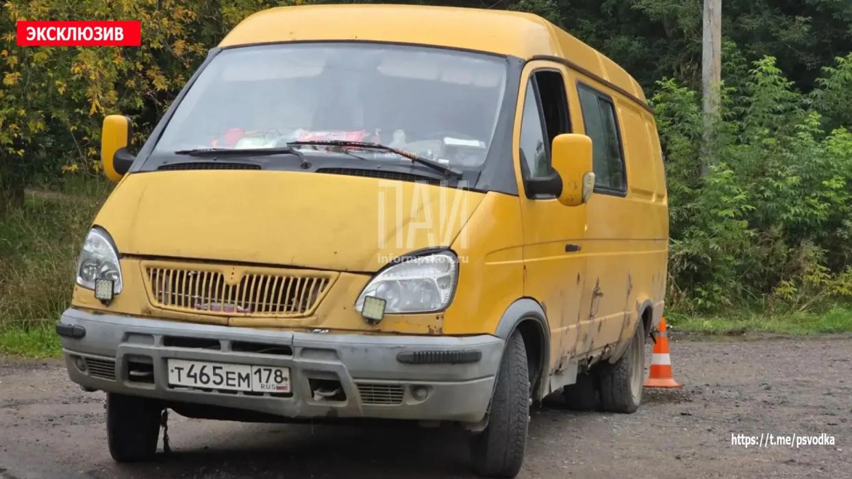 ГАЗель сбила женщину в Невеле
