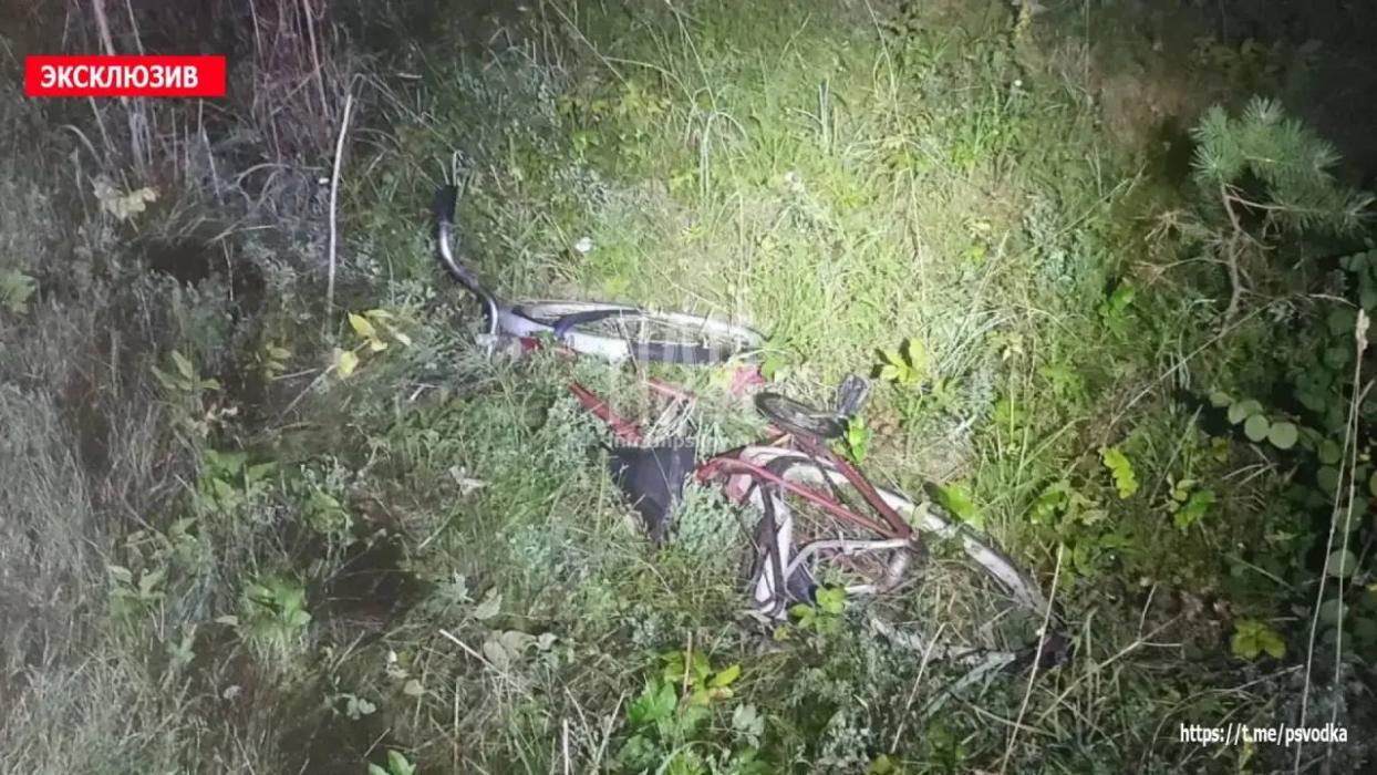 Велосипедист погиб в Порховском районе