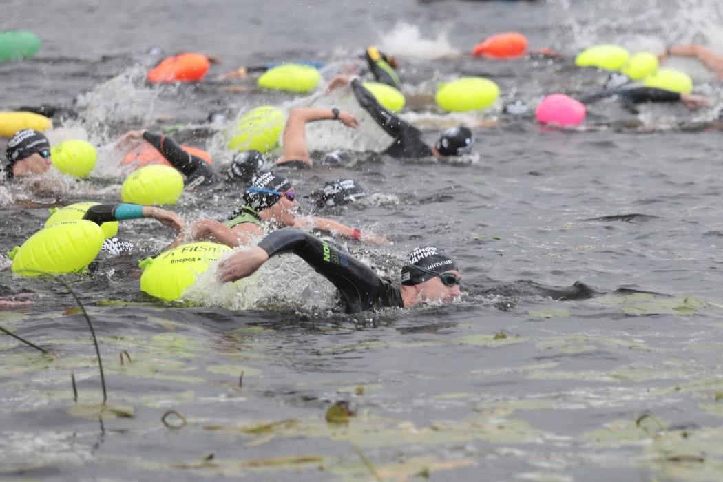 Пятый заплыв на открытой воде Swimcup состоялся в Пскове