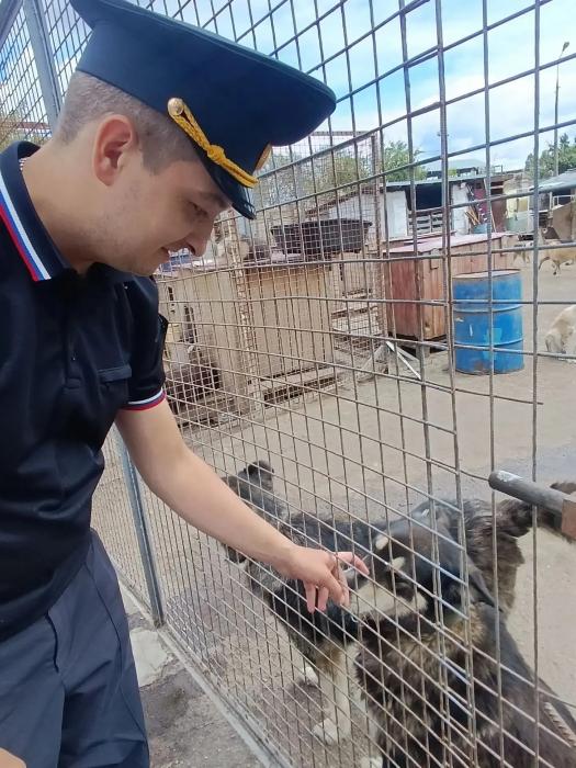 Помощь приюту в Пскове 