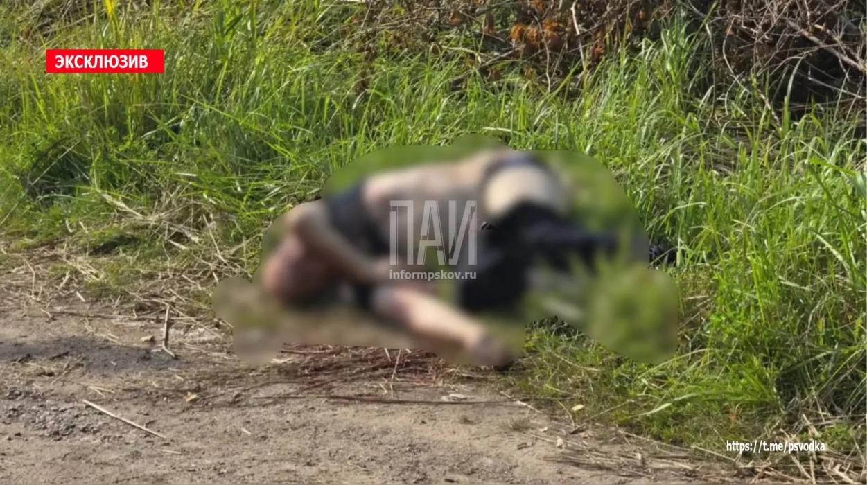 Тело мужчины с признаками насильственной смерти обнаружили в Невеле
