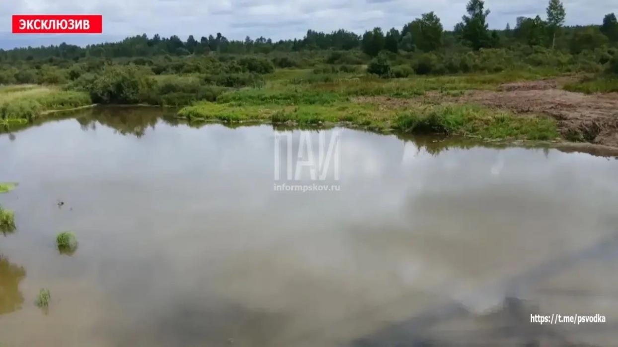 Масштабные поиски пропавшего девятилетнего мальчика завершились в деревне Заболотье Великолукского района
