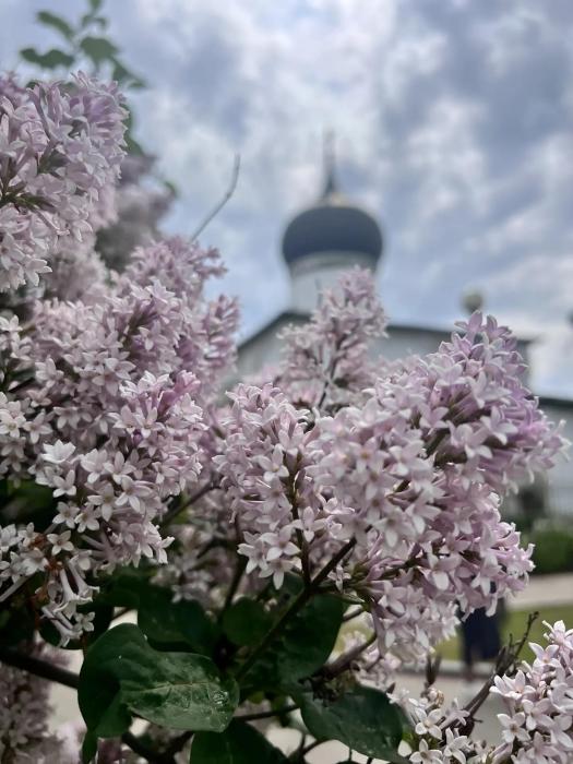 Церковь Михаила Архангела
