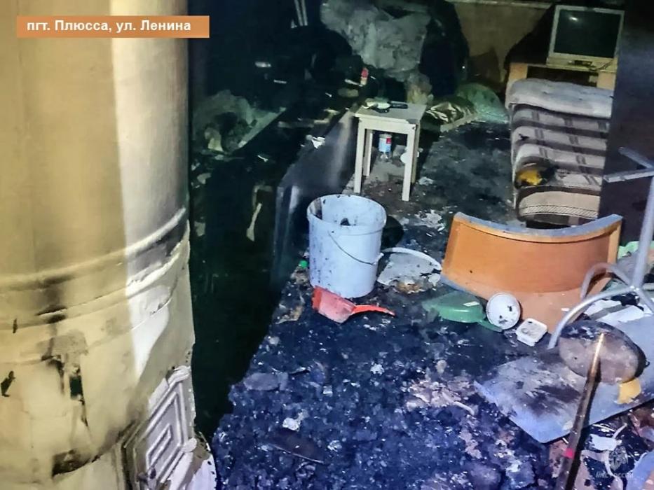 Семь пожаров произошло в Псковской области за выходные