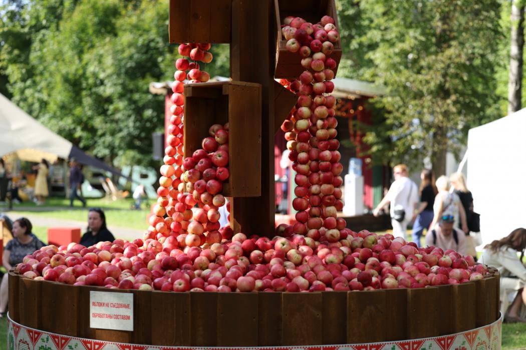 Семейный праздник в Финском парке: первый день фестиваля «Лешуга»