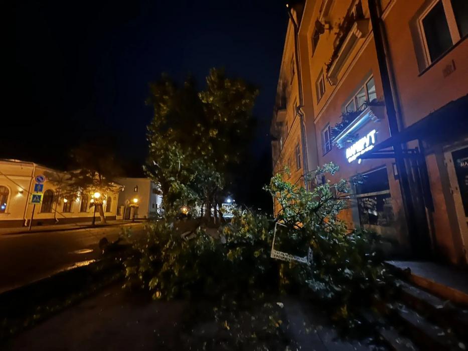 Сильный ветер сломал дерево в центре Пскова